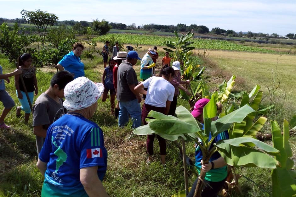 volunteers working in a Mexican field